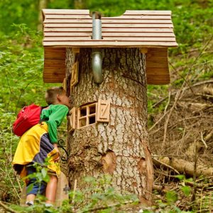 Erlebnispfad “Hademar Waldwichtel”